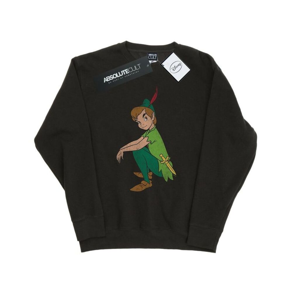 Peter Pan Womens/Ladies Classic Heather Sweatshirt / Light Graphite